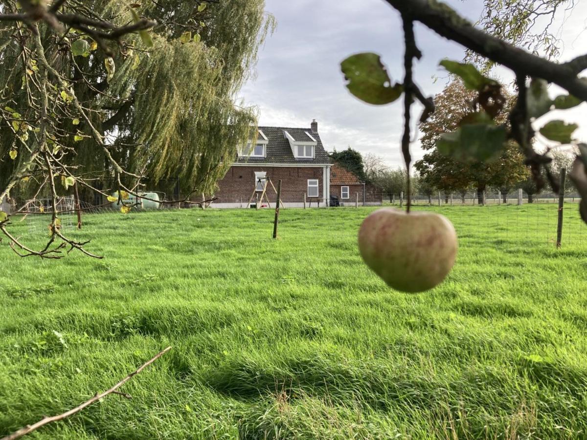 Landhuis 'De Ontspanning' Axel Eksteriør billede